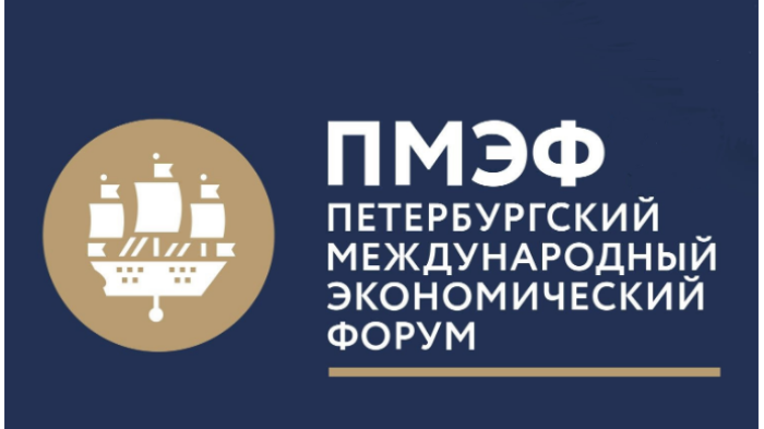 Югоосетинская делегация принимает участие в пленарном заседании ПМЭФ - 2024