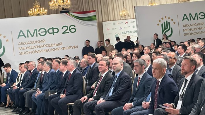 Председатель Правительства Дзамболат Тадтаев принимает участие в АМЭФ-2026